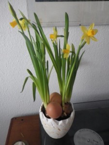 Frohe Ostern!!!